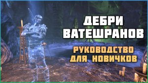 ESO Дебри Ватешранов. Руководство для новичков.
