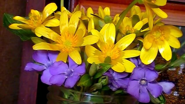 ЭТО ЧИСТИТ ПЕЧЕНЬ , ОТ УГРЕВОЙ СЫПИ И ОТ БРОНХИТА - ЧУДО ЧИСТЯК 6.04.2018 смотреть онлайн