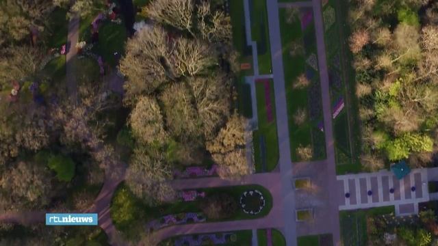 Потрясающее видео Тюльпаны в Кёкенхоф (Голландия) смотреть онлайн