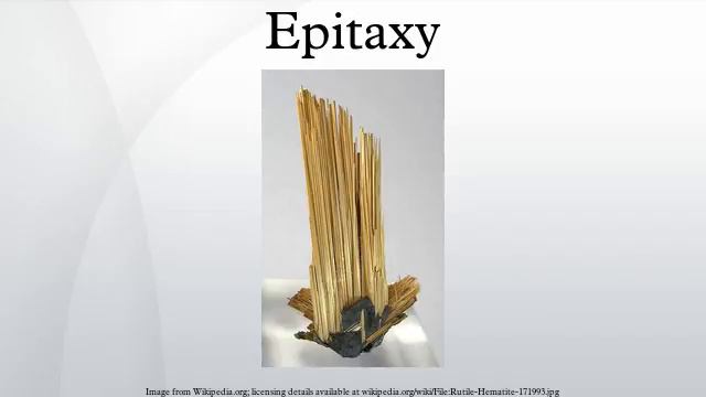 Epitaxy смотреть онлайн