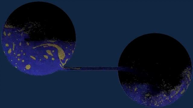 Smoothed-Particle Hydrodynamics simulation using CUDA смотреть онлайн