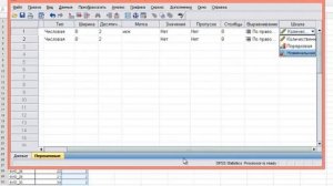 SPSS. Критерий Манна-Уитни на констатирующем этапе. Две независимые выборки.