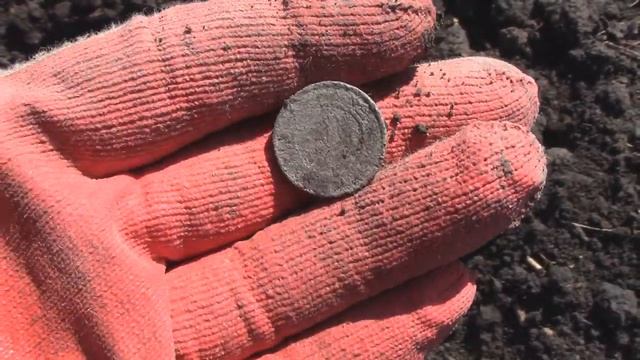 Коп монет по вымершим Кубанским сёлам. смотреть онлайн