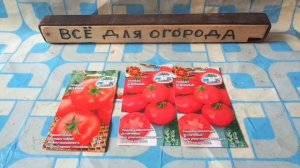 Сорт томата ВЗРЫВ  можно выращивать  без рассадным способом .