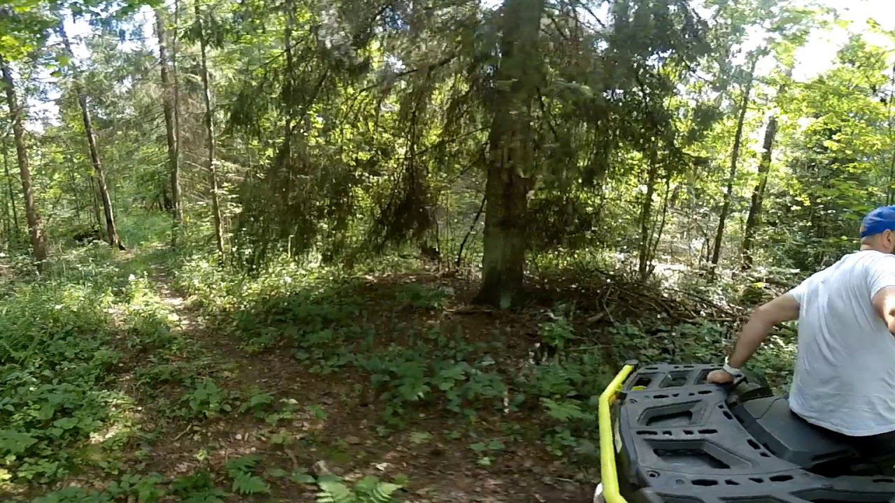 Video360: Поездка на квадроцикле в лесу под Истрой