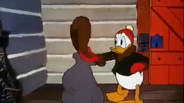 Donald Duck Cartoons A16
