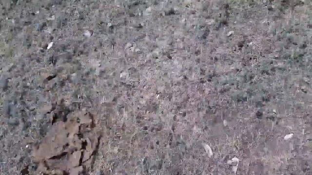 поездка в Баян аул и Кунды кол///влог смотреть онлайн