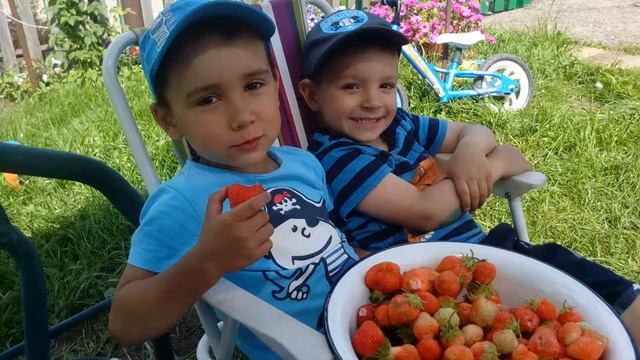 НА ДАЧЕ - КЛУБНИКА ПОСПЕЛА смотреть онлайн