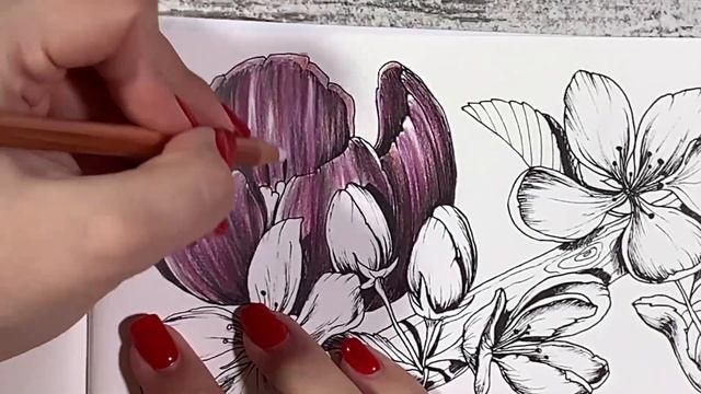 Начинаю новые раскраски: Amarantine, OOTD, Moje Kviti, Colors Make You Happy