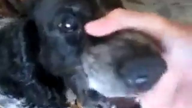 Э б,б,б,б,б! смотреть онлайн