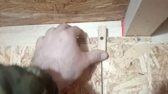 Брудер в курятнике!