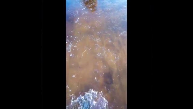 Рыбалка в северодвинске смотреть онлайн