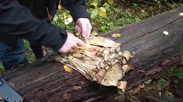 За грибами на север Московской области '10.09.2021 смотреть онлайн