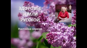 Настойка сирени