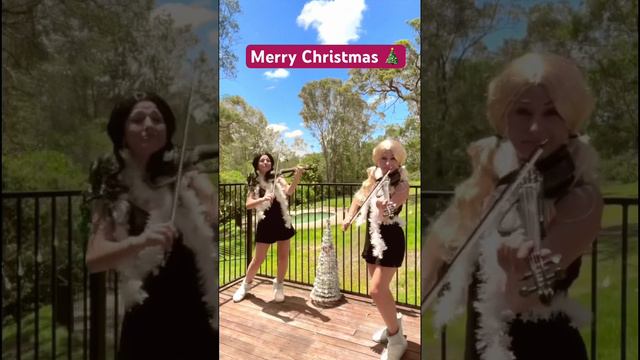 Jingle bells with singing cat🐈 🎄 Merry Christmas.. Кошка старалась и попадала на чистые ноты ;) смотреть онлайн