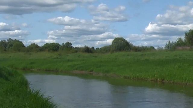 Ловим рыбу саками. Видеосъемка с берега. Часть 2. смотреть онлайн