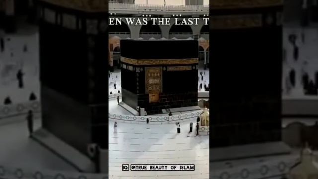 Allah said (2:256) "There is no (forcing) in religion why you forcing women into polygamy marriages смотреть онлайн