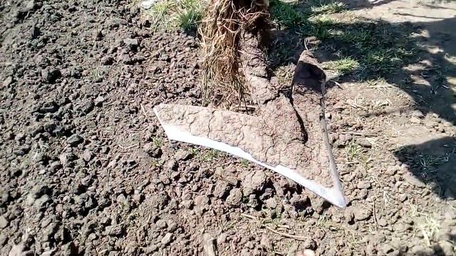 Самодельный культиватор 8.5 метра. Лапы аналог Wil-rich смотреть онлайн