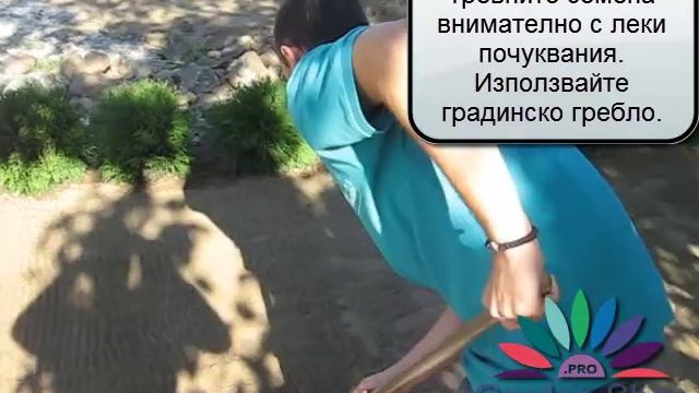 Как се сее райграс - технология за затревяване с тревна смеска смотреть онлайн