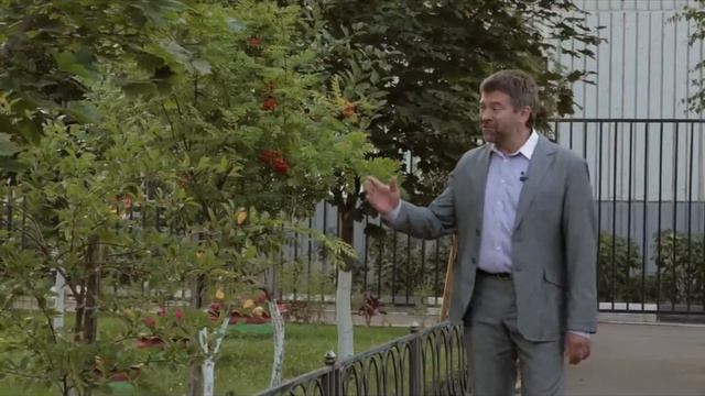 Белый парус смотреть онлайн