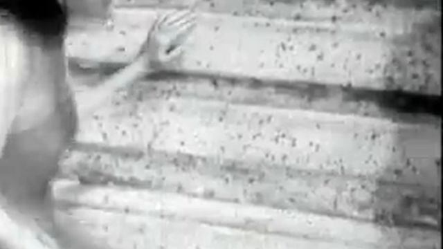 Love Island (1952) - Full Length Classic Movie with Eva Gabor смотреть онлайн