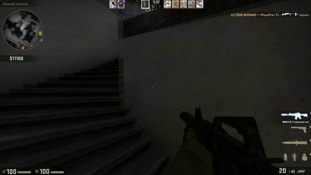 НАГИБАЮ СИЛЬВЕРОВ В CS:GO смотреть онлайн