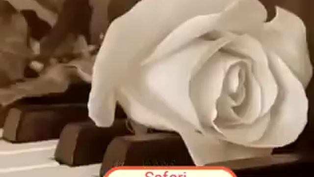 Excursions Marrakech Safari Rose