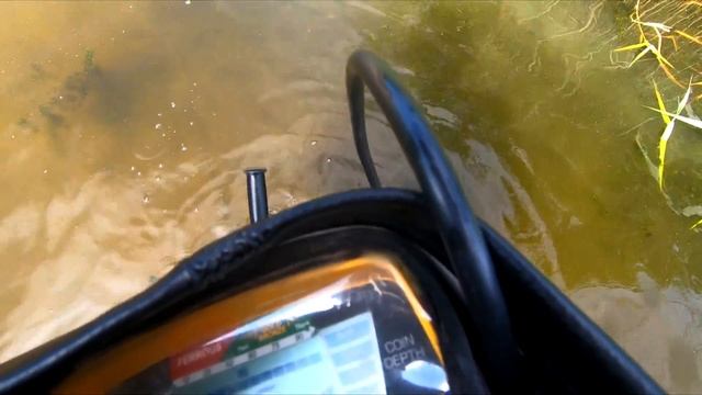 Нашел золото, а рядом тащат сома #копнапозитиве