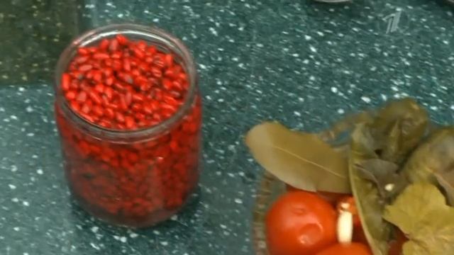 Учебник по Таланту