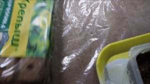 Розы Кордана - зимнее черенкование. Ещё одна лимонно-жёлтая роза по пересорту из Роза-сад.