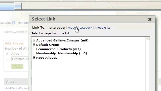 Page Aliases смотреть онлайн