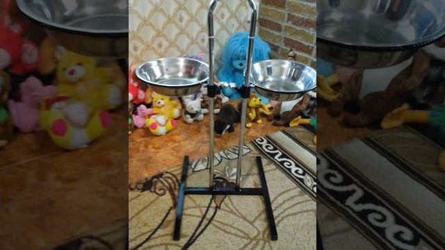 Стойка с тарелками для собак.Своими руками.