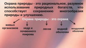 Влияние человека на природу