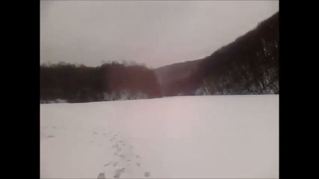 На Даманском зимой  (Барвинок)