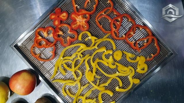 Обзор Инфракрасной Сушилки Дегидратора для Ресторанов Home Station 3 — УКРСУШКА смотреть онлайн