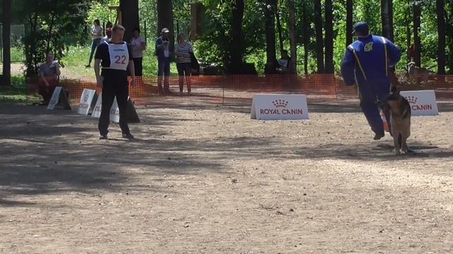 БРР Чемпионат России 2019 смотреть онлайн
