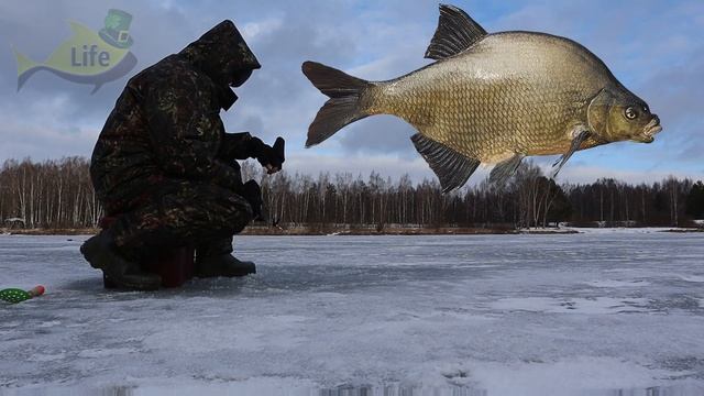 При какой погоде зимой лещ ЛОВИТСЯ один за одним? Лучшая зимняя погода на леща!!!