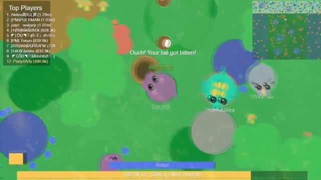 MOPE.IO БОБР !! РЕЧНОЕ ЖИВОТНОЕ !! НОВАЯ ИДЕЯ ЖИВОТНЫХ !! смотреть онлайн