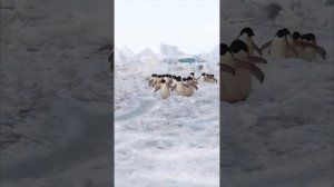 Когда бежишь с коллегами на обед