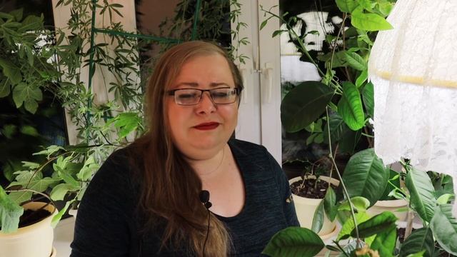 Стихотворение Кукла смотреть онлайн