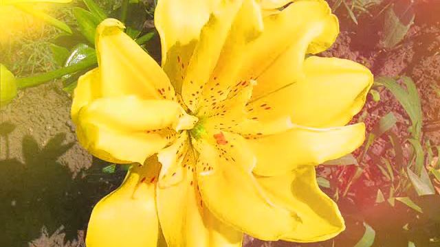 Музыка Релакс. Cлушай и наслаждайся! #Музыка смотреть онлайн