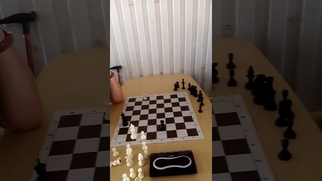 #шахматный#турнир#в памяти стапанова #мастер#спорта# смотреть онлайн