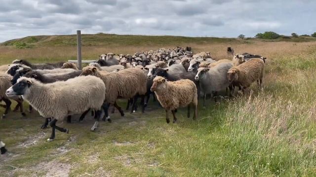 Юрьев день 6 мая 2023 года. Православный и народный праздник. Что нельзя делать?! Традиции и примет смотреть онлайн