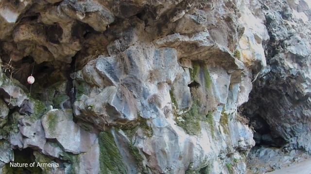 #Stepanavan - Mayori dzor смотреть онлайн