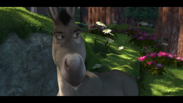 Шрек. Ты зеленый и большой как танк.