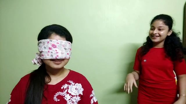 Touch & *GUESS THE THING* Challenge?।। With T Sis смотреть онлайн