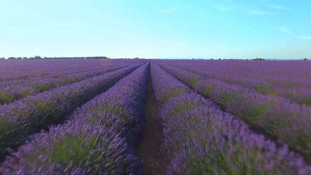 Relax ambient music & Calm music for deep sleep, soothing music смотреть онлайн