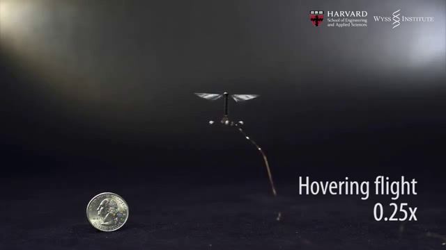 Ученые сделали летающего бота размером с муху смотреть онлайн