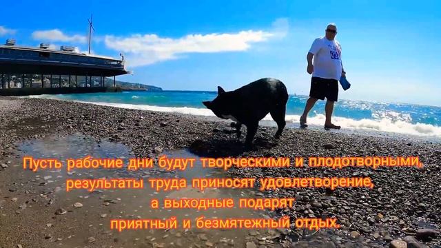 С праздником 1 мая! ?Мир!Труд! Май! смотреть онлайн