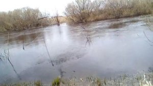 Рыбалка на подъёмник (паук) в нерест